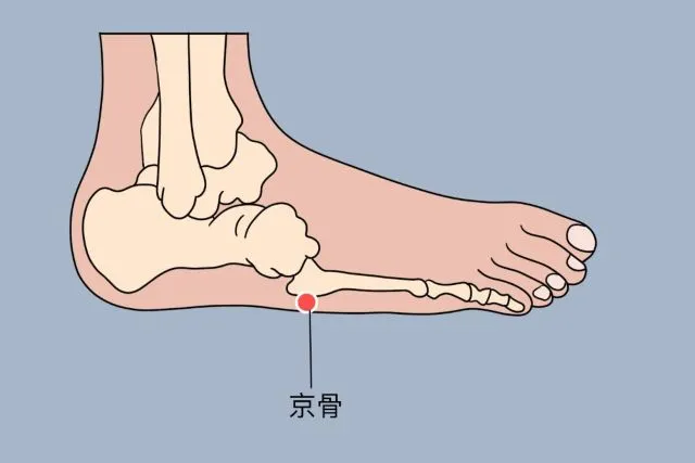 右足の外側に赤丸で京骨穴を示し、黒文字で「京骨」とラベルされた骨格イラスト