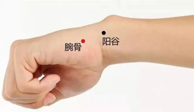 手首の鍼灸ツボ位置図、中国語で腕骨・陽谷が標記された手の手首部分