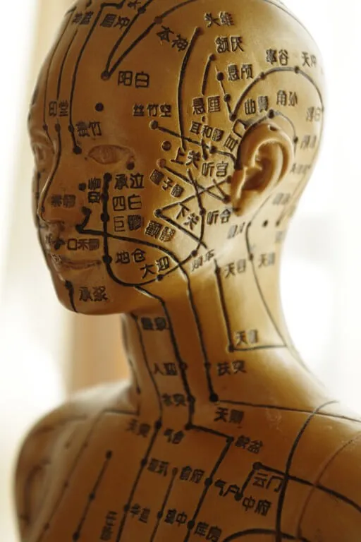 人形の頭部・首・肩のクローズアップ。経絡の線とツボの点が赤や青で詳細に表記された鍼灸モデル。