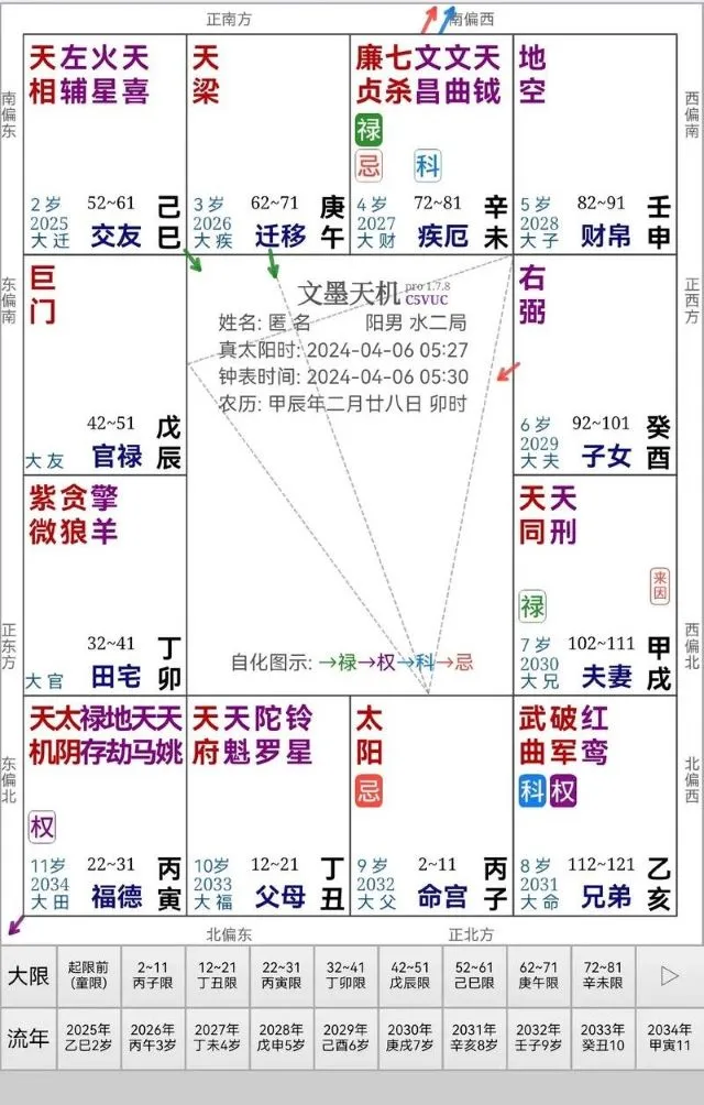 紫微斗数の典型的な命盤チャート