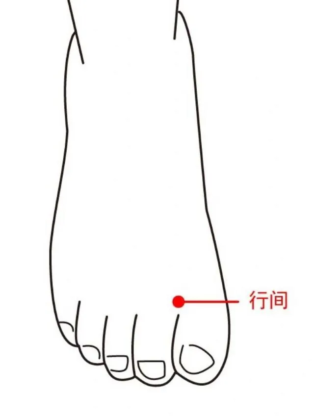 足のツボ「行間」の位置を示した線画図