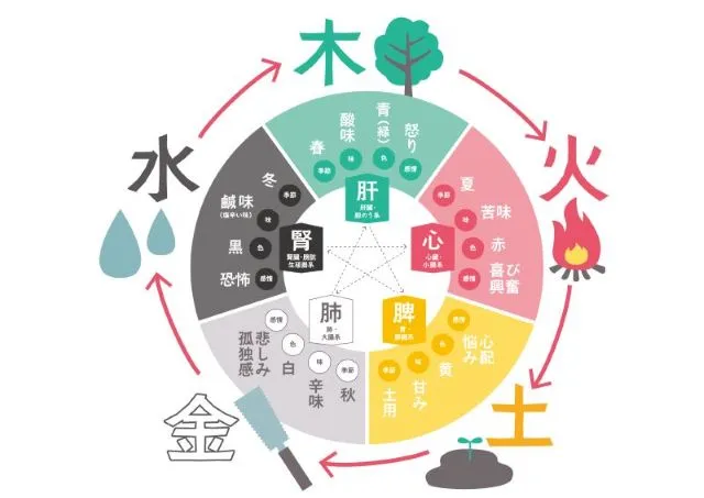 陰陽五行と五臓の関係を示す図。心火が小腸に伝わり水が木を生む流れ