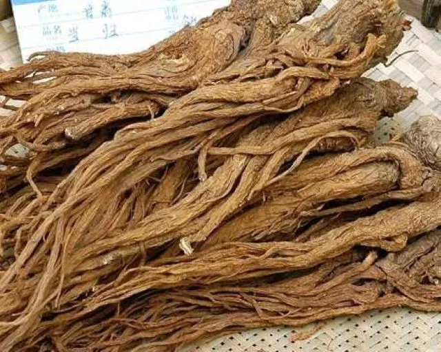 ヒゲ状の長い根を持つ乾燥当帰が重なって並んでいる写真