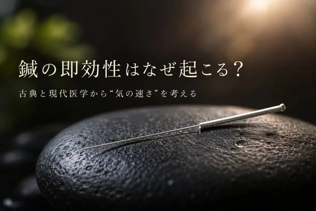 石の上に置かれた鍼のクローズアップ